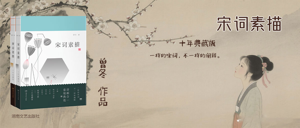 宋词素描  十年典藏版